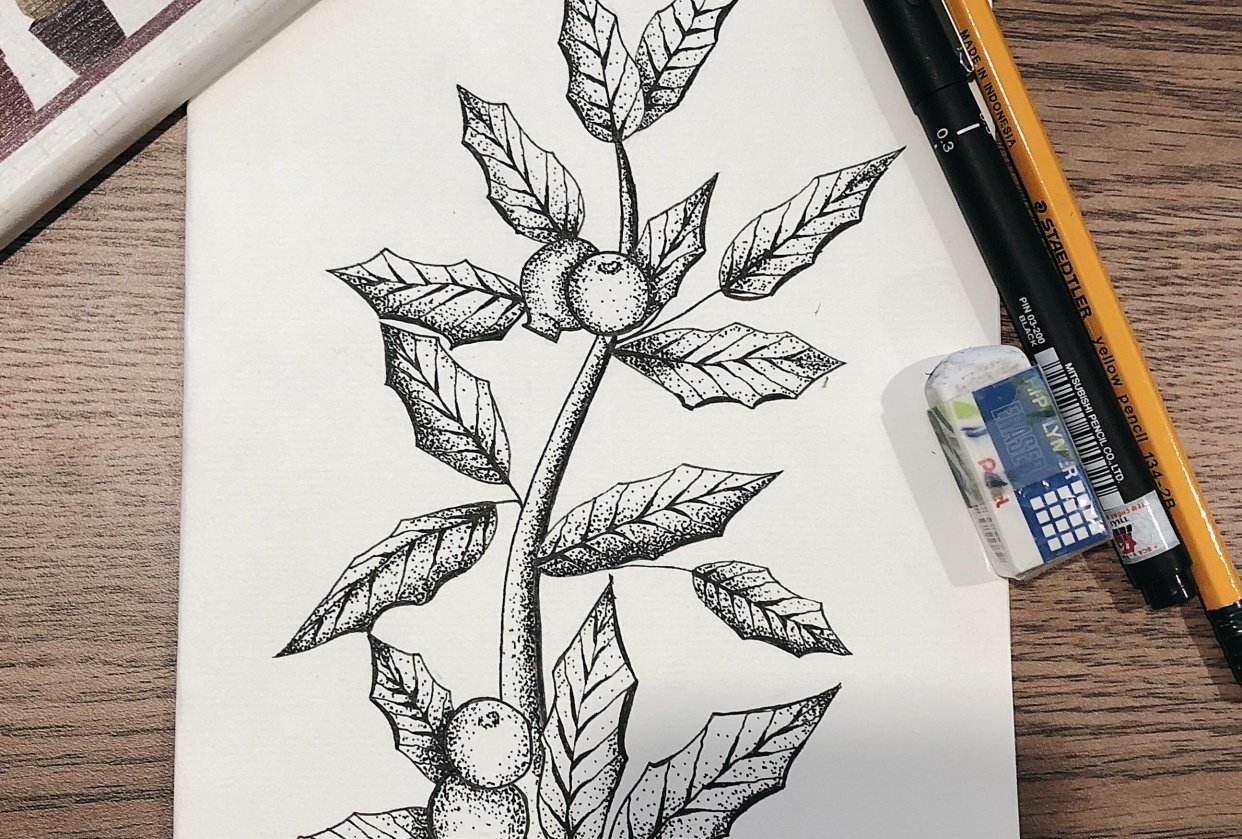 My Botanical Drawings - student project