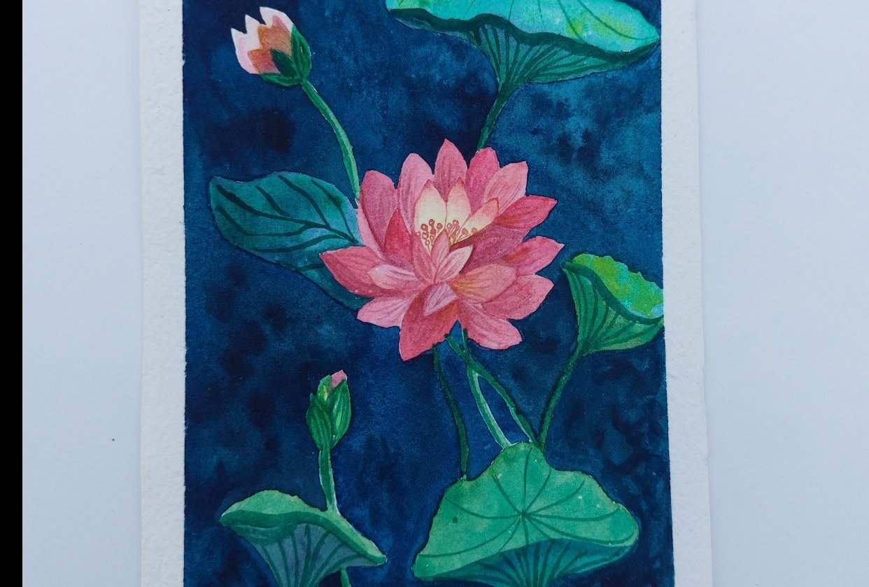 Lovely Lotus - student project