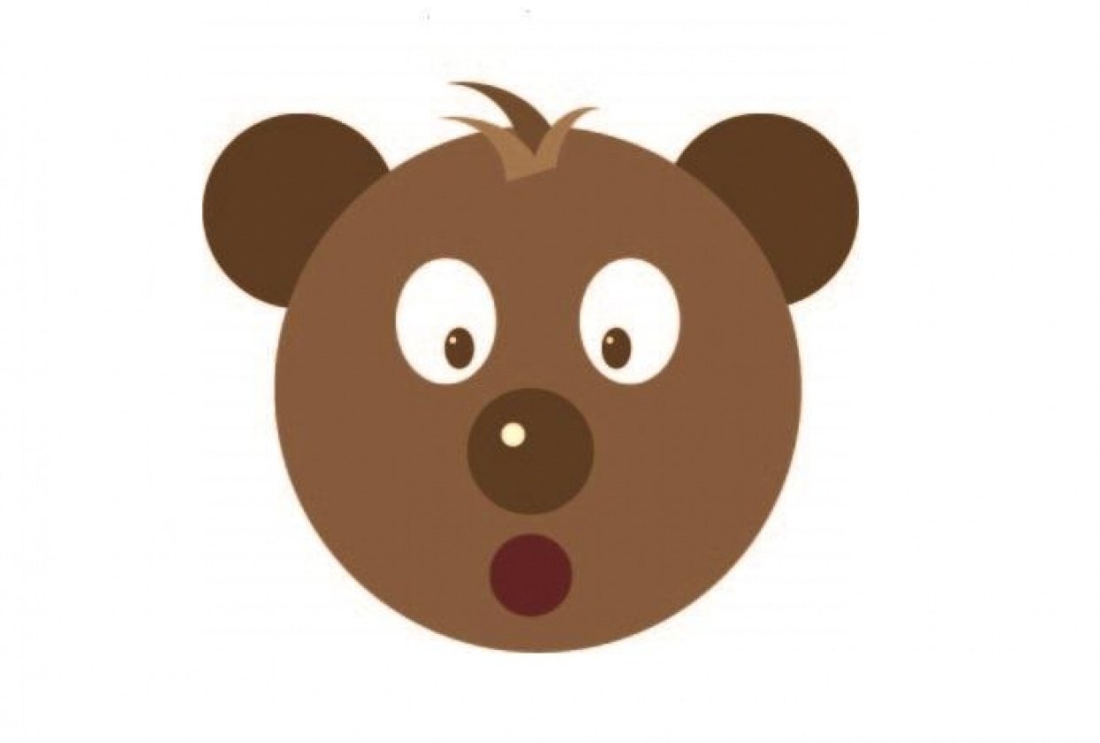 Class Project #1: Bear - student project