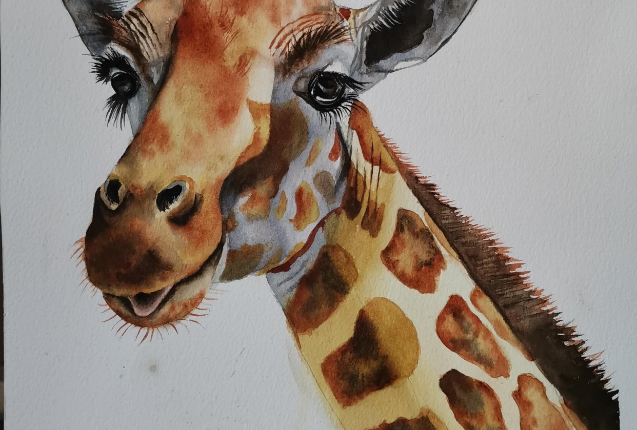 Giraffe - student project