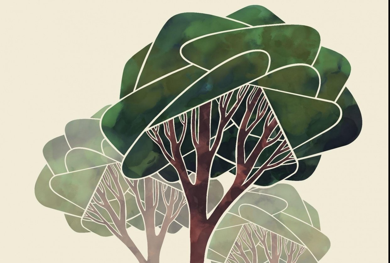 graphic trees - student project