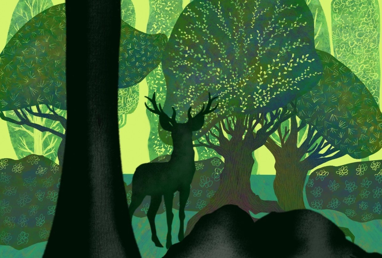 Stag - student project
