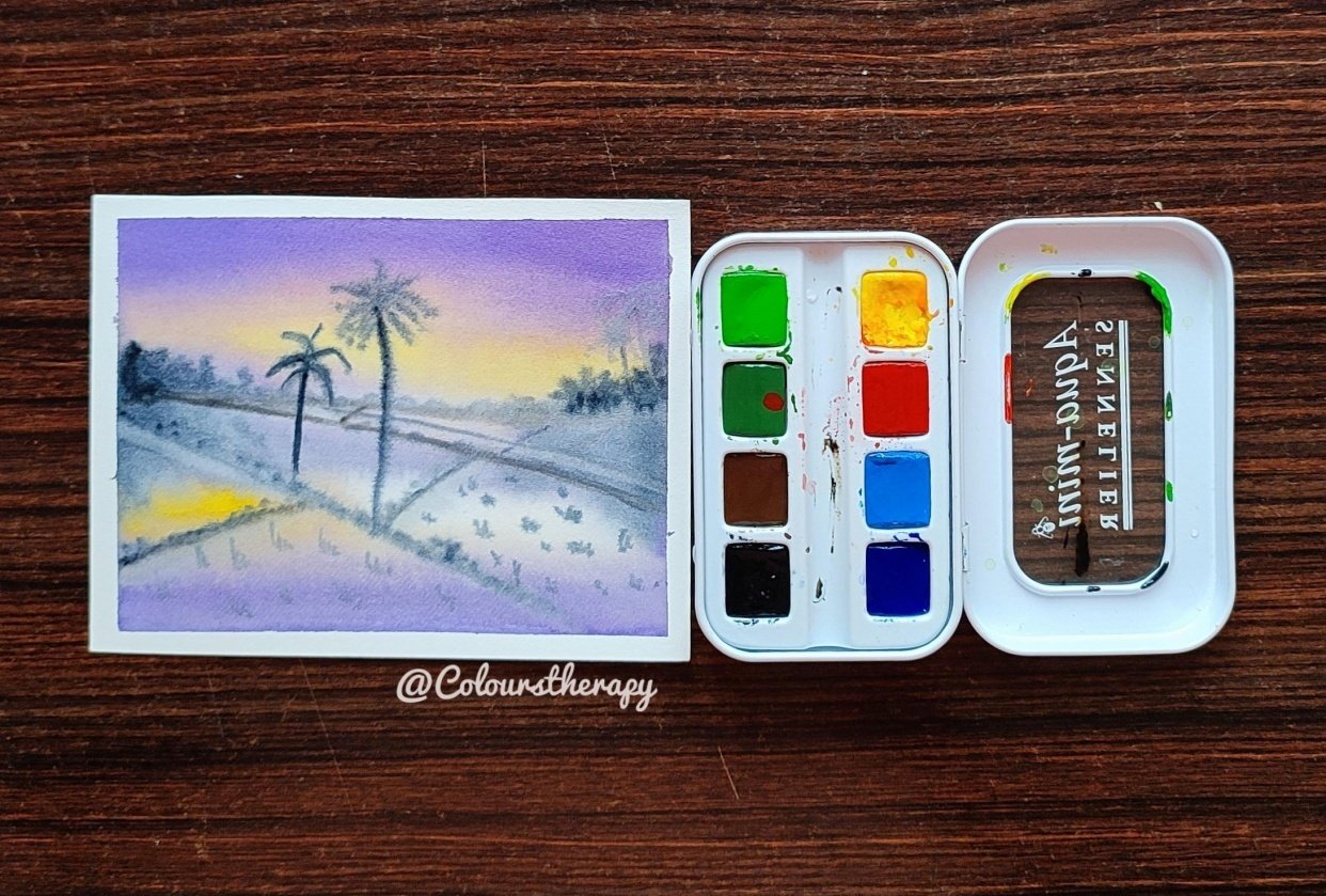Lovely Paddy fields - student project