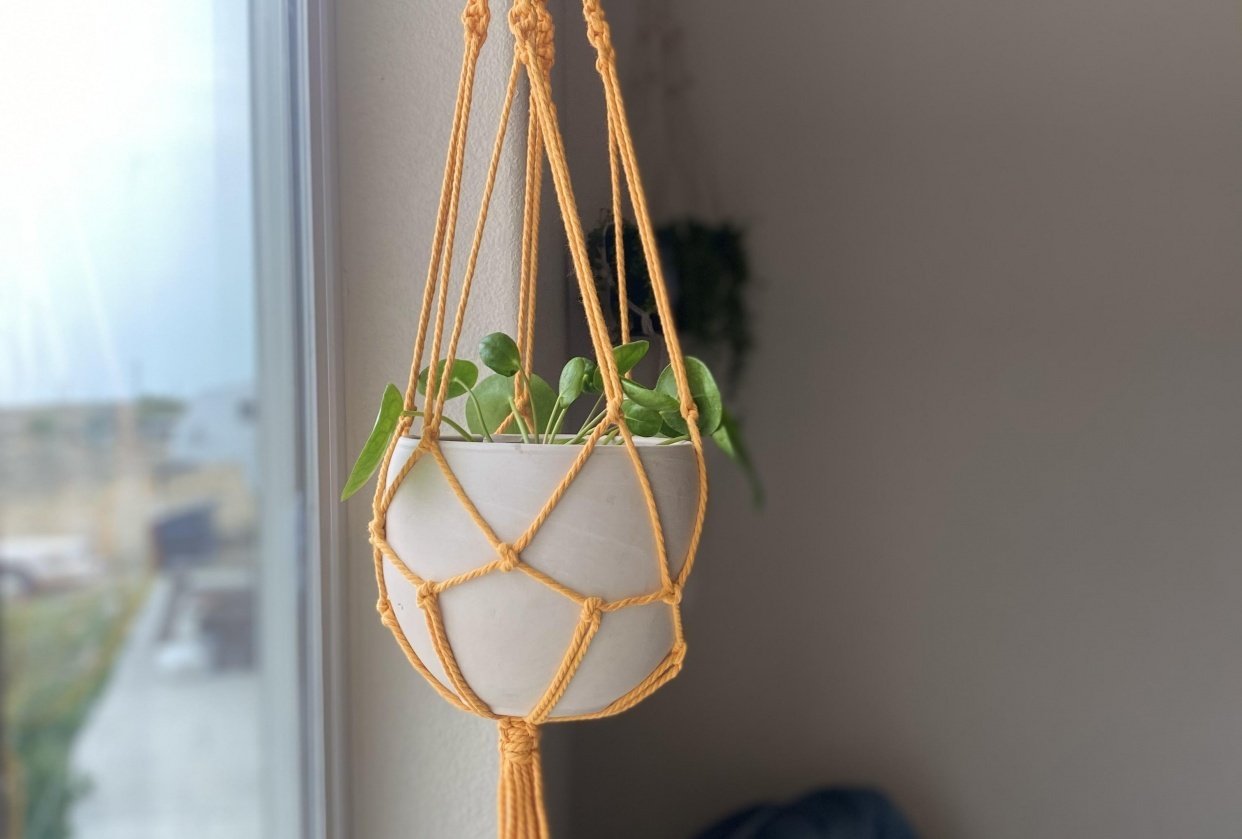 Macrame plant hanger - student project