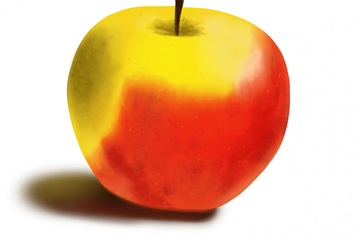 Apple using procreate - student project