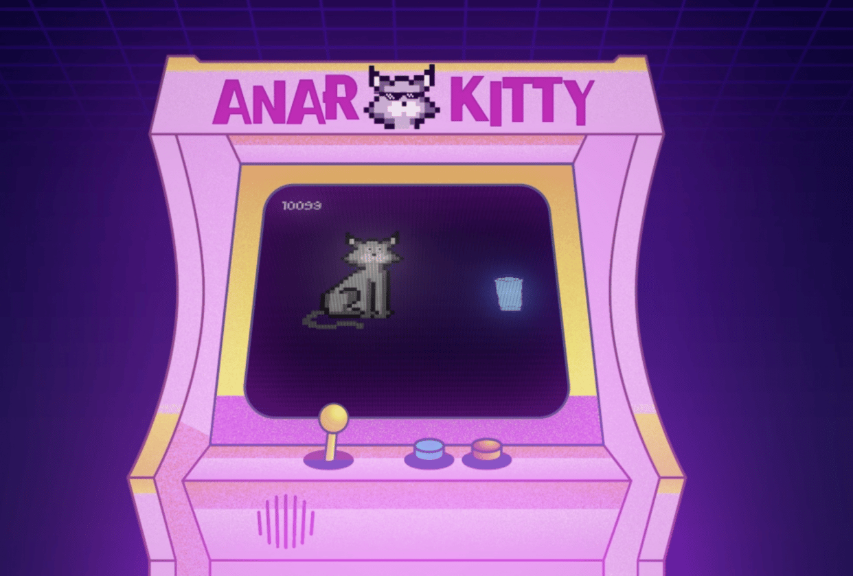 Anarkitty - student project