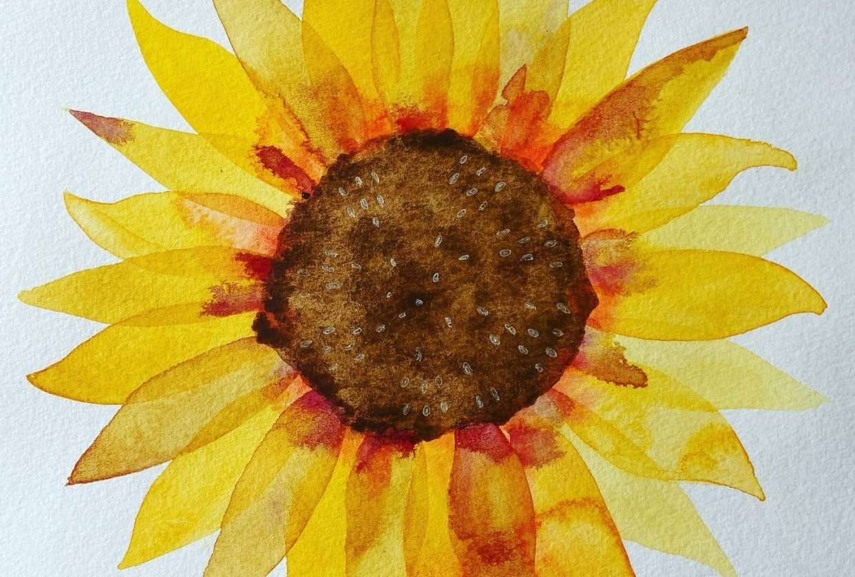 Sunflower - student project