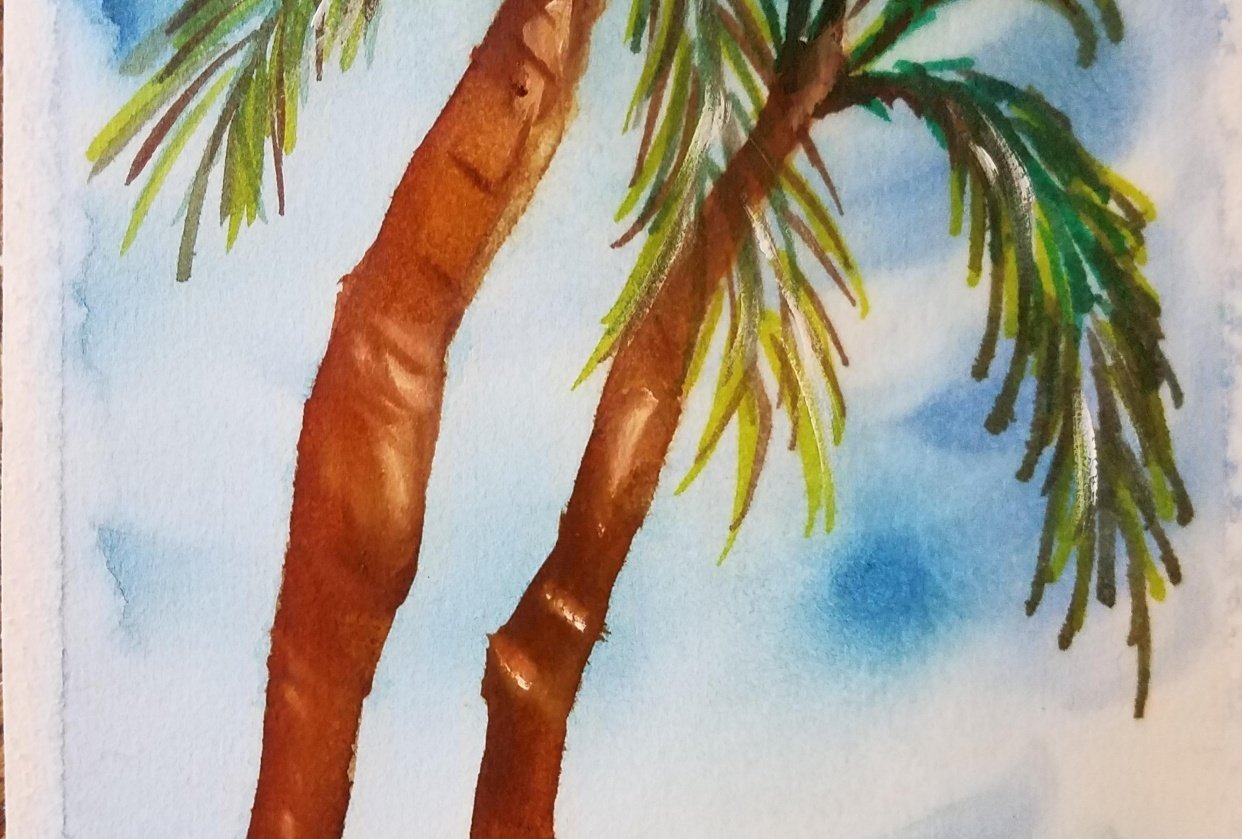 Palm trees - student project