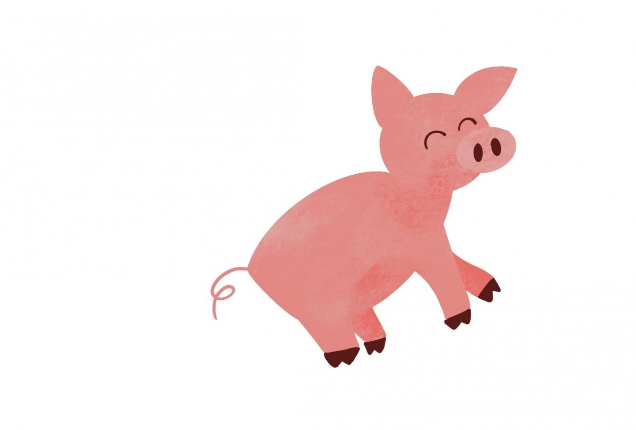 Happy Animals - student project