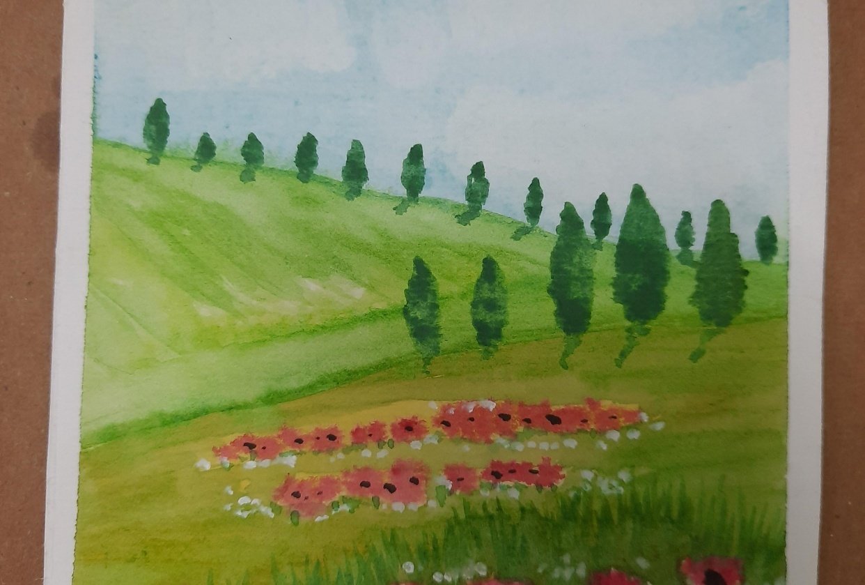 Poppies in the meadow - student project