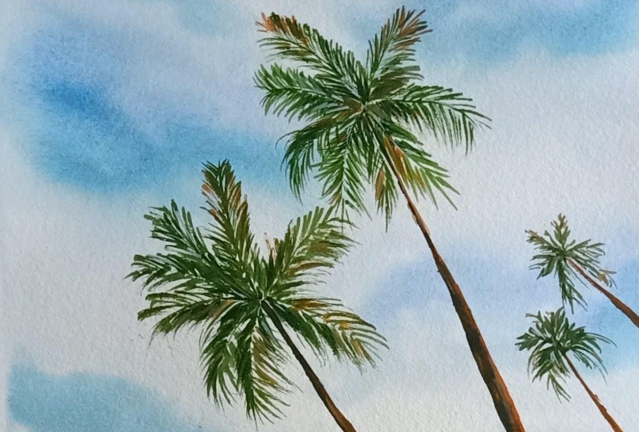 Summer Vibes - student project