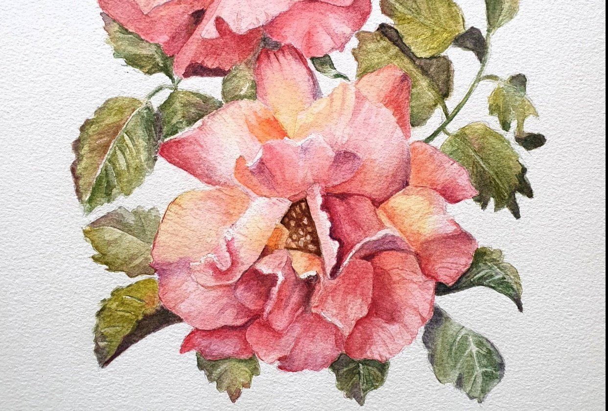 My watercolor roses - student project