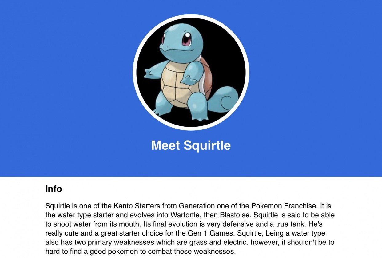 Squirtle - student project