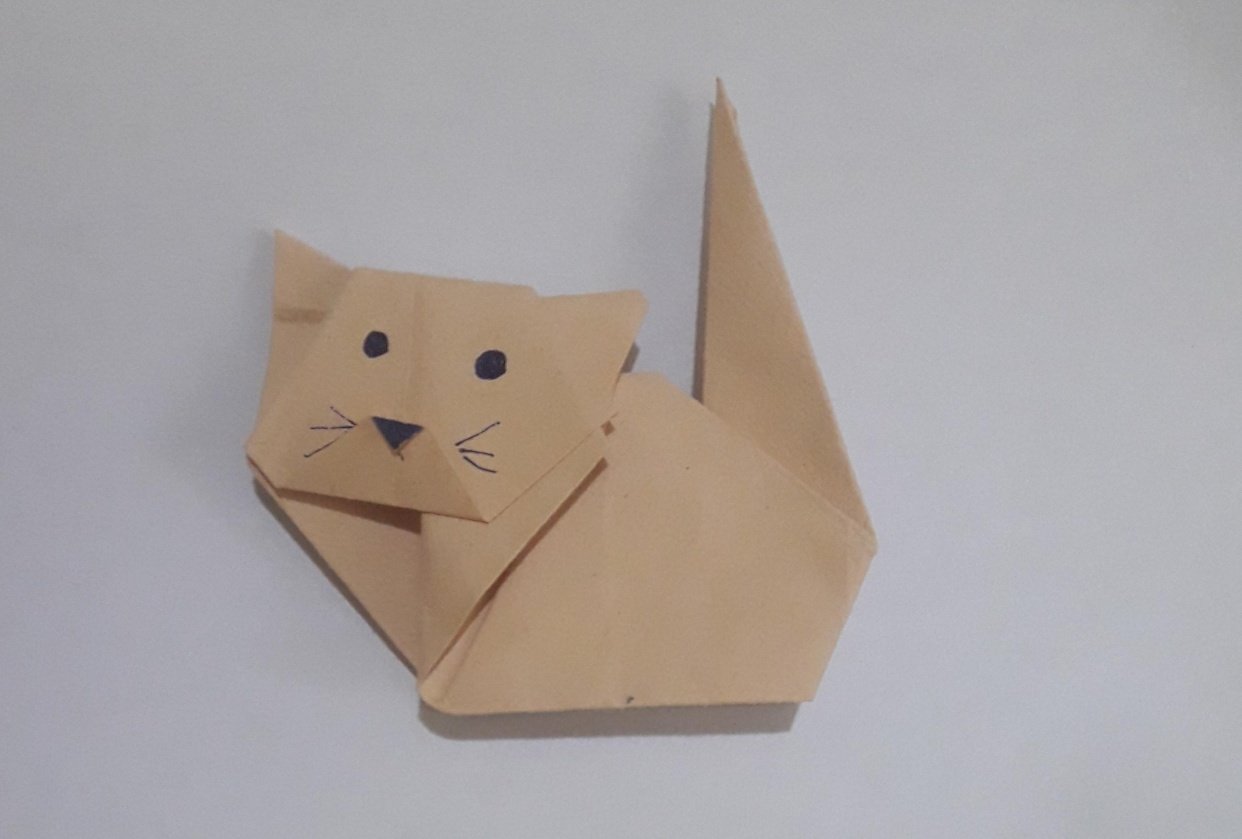Meow - student project