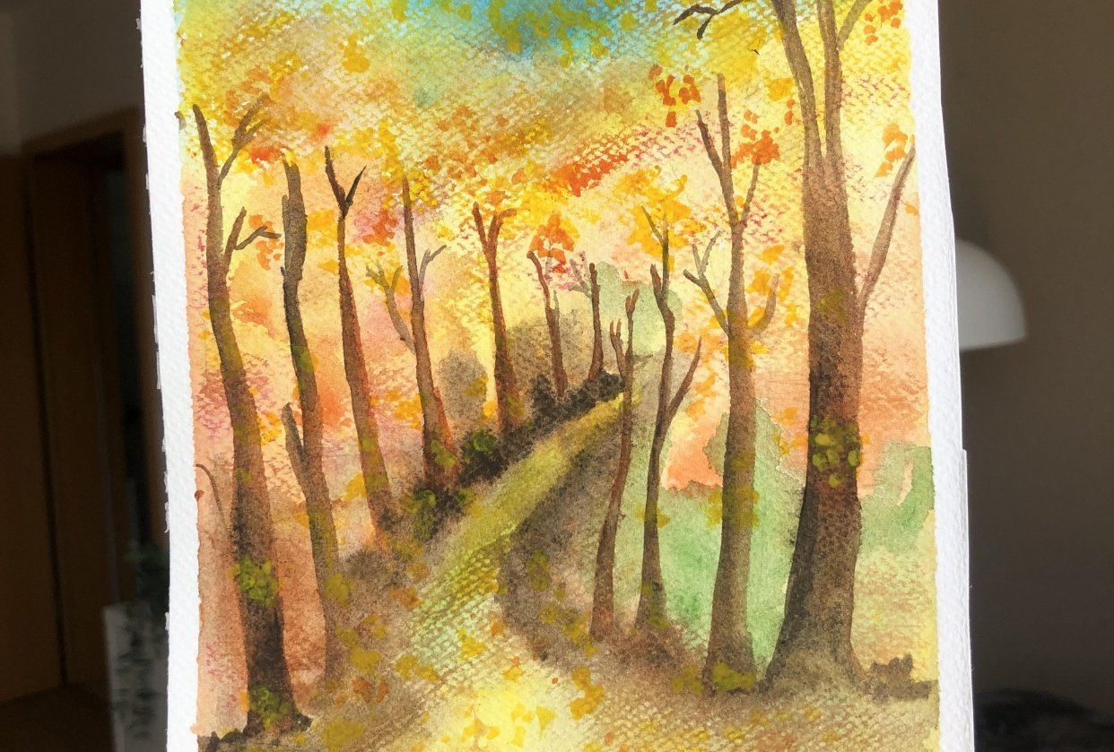Orange autumn  forest - student project