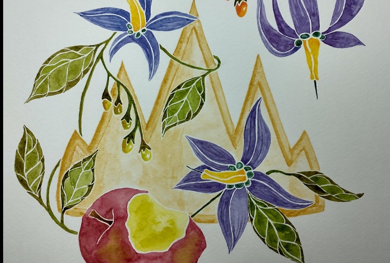 fruit and floral nightshade - student project