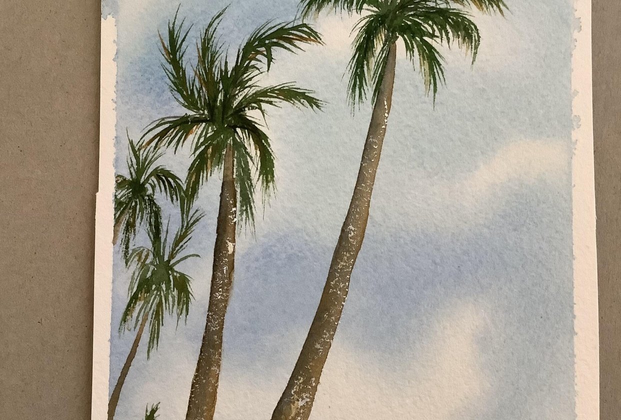 Palm trees - student project