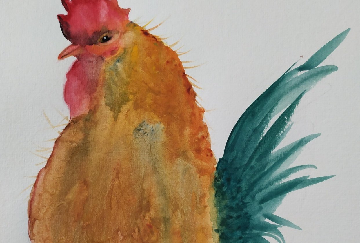 Cockerel. - student project