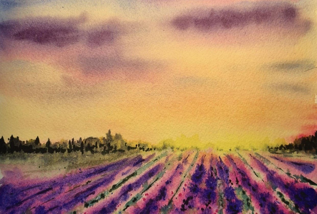 Lavender Dreams - student project