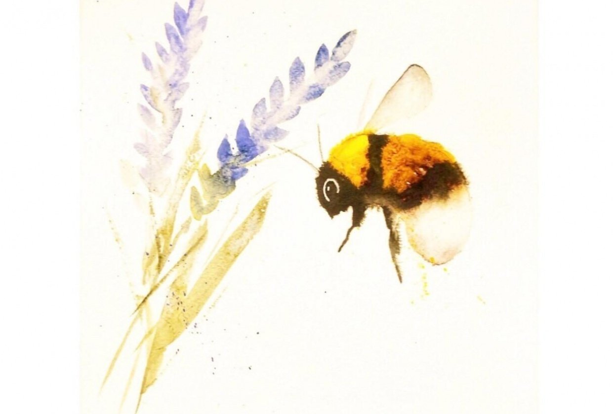 Bumblebee - student project