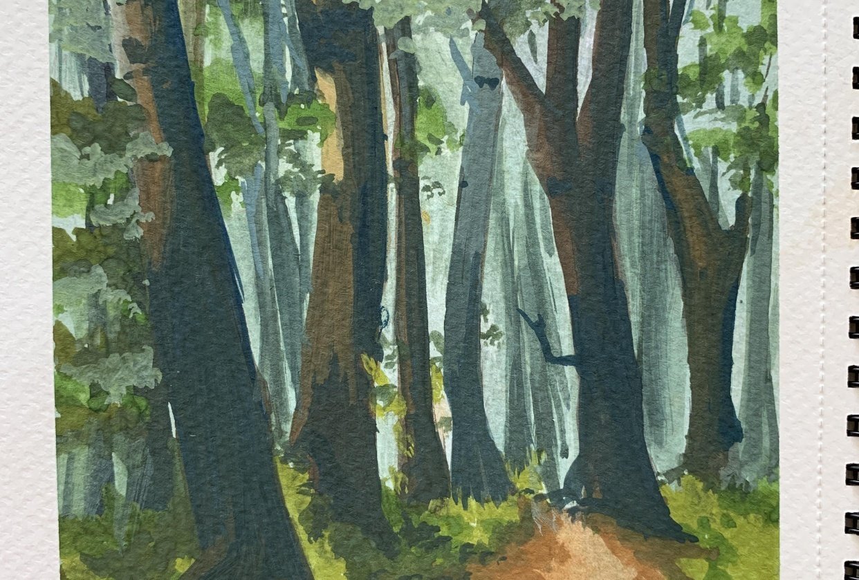 Forest - student project
