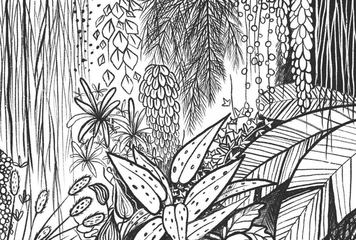 Plants and leaves - student project