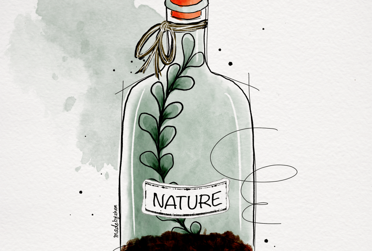 Glass bottle terrarium (watercolor using procreate) Skillshare