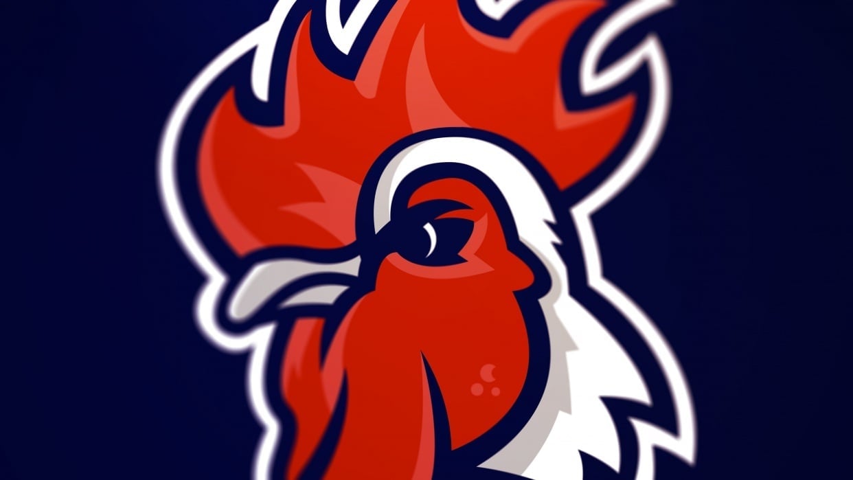 Rooster Logo  - student project