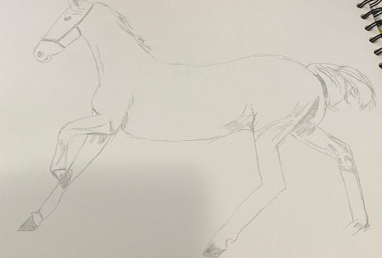 Upside down horse Skillshare Student Project