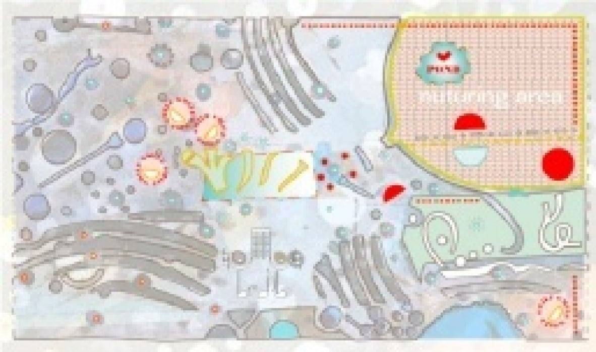 The Pathways of Roots, Branches & Seeds - student project