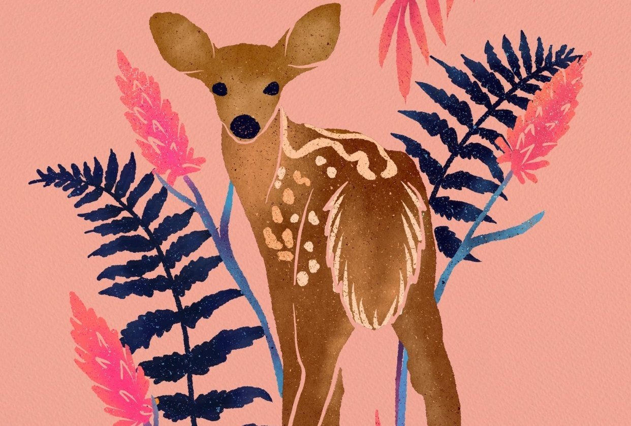 Little Deer Skillshare Student Project