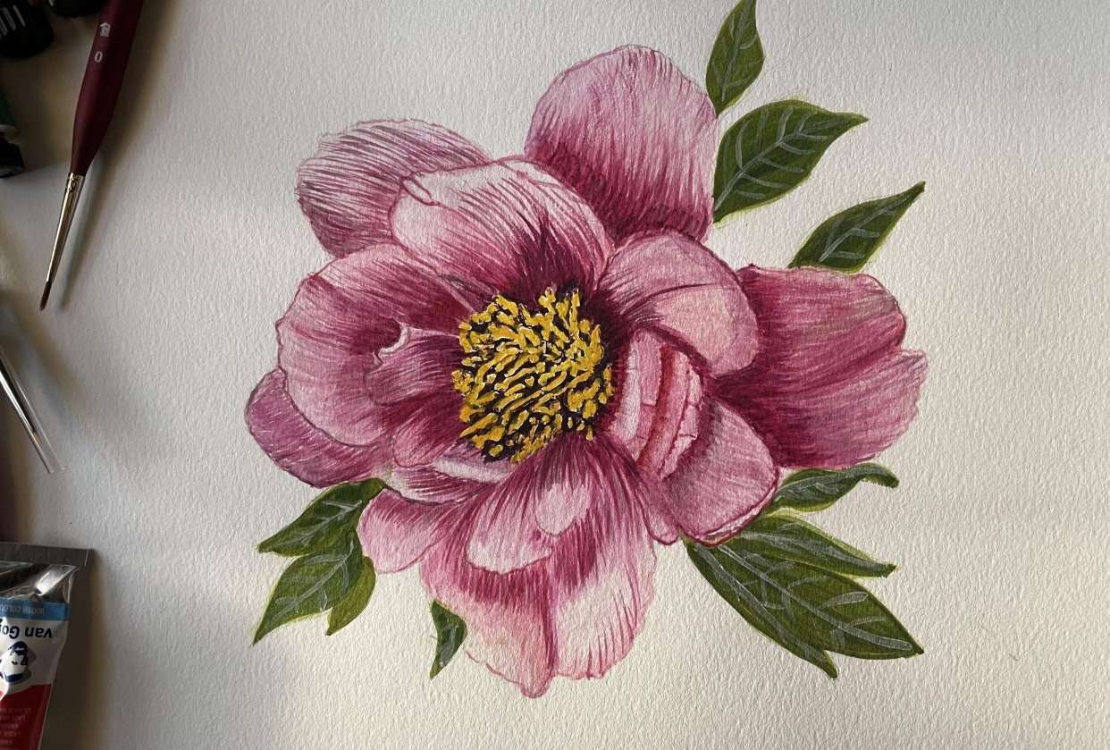 Botanical art Skillshare Student Project