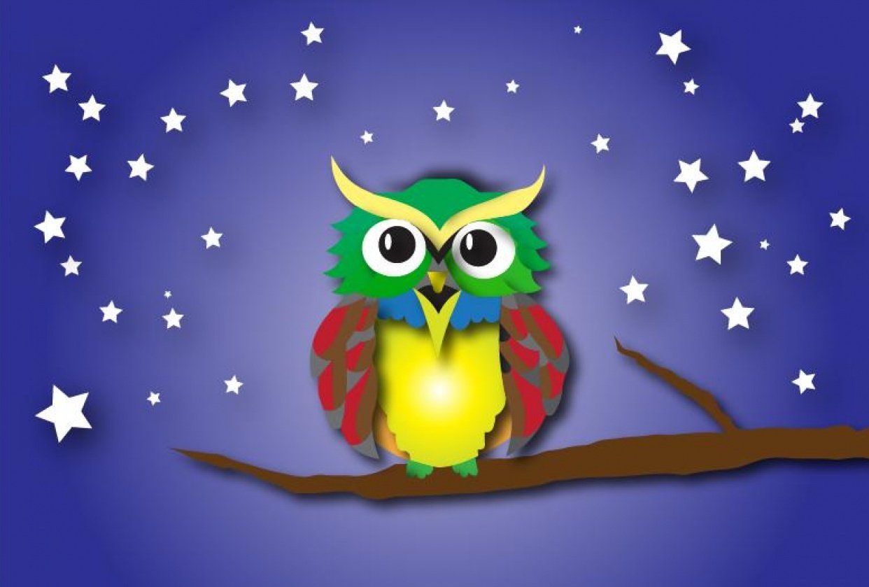 Owl Skillshare Student Project