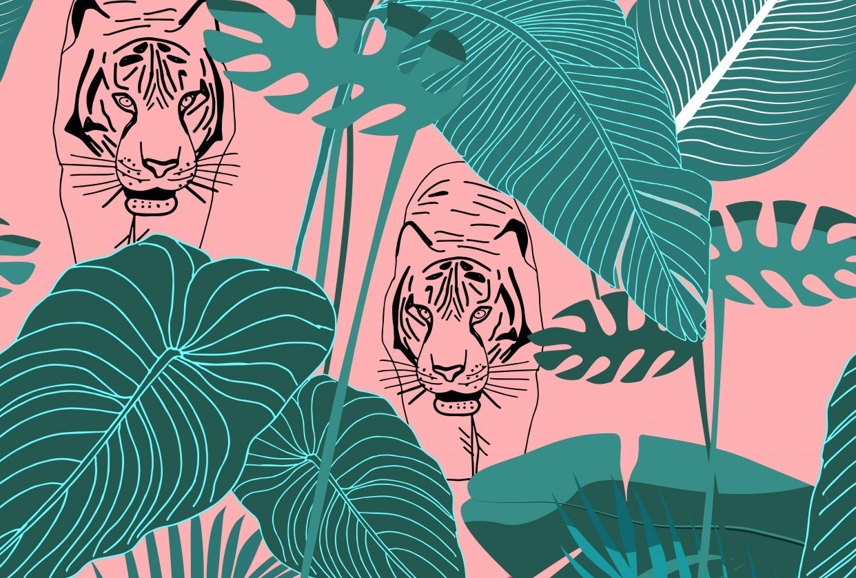 Vectorizing procreate drawings - student project