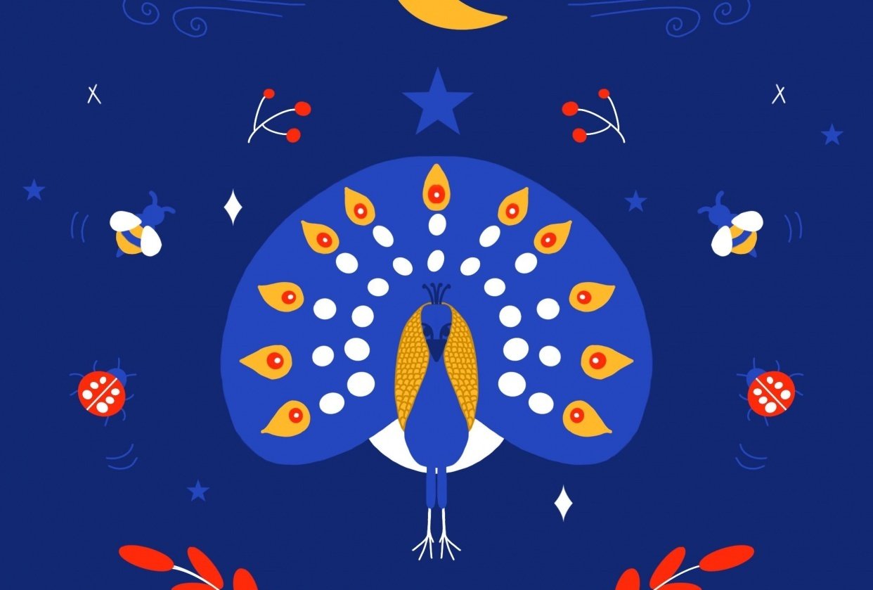 Peacock and Nature Skillshare Student Project