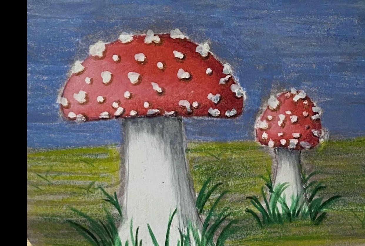 Colored pencils mushrooms Skillshare Student Project
