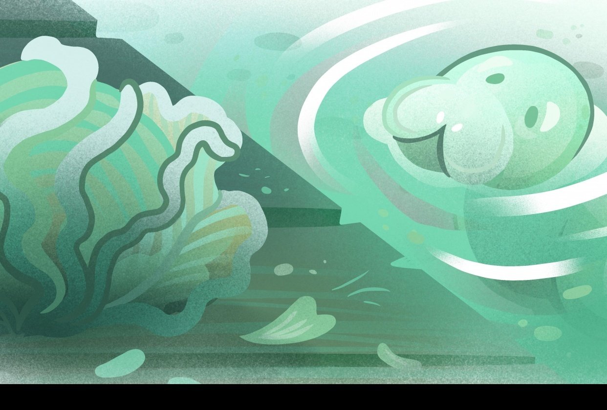 Example Of Editorial Illustration Layout Skillshare Student Project example-of-editorial-illustration-layout-skillshare-student-project