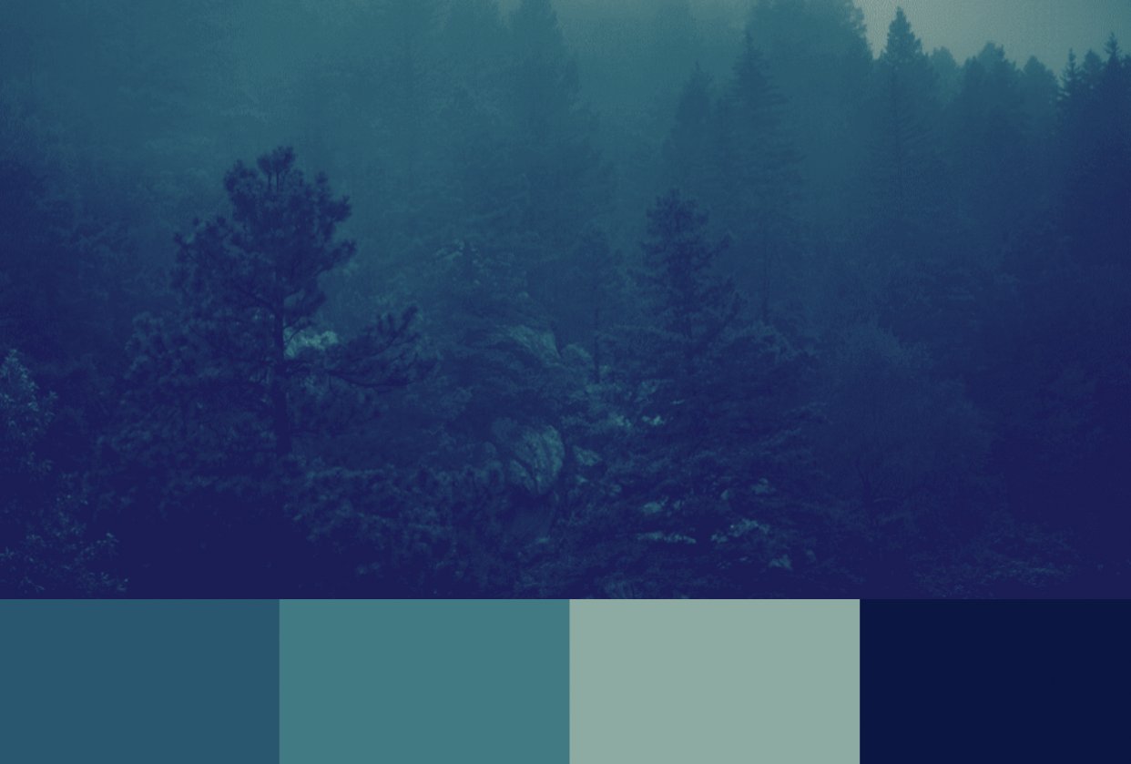 NorCal Forest Color Palette - student project