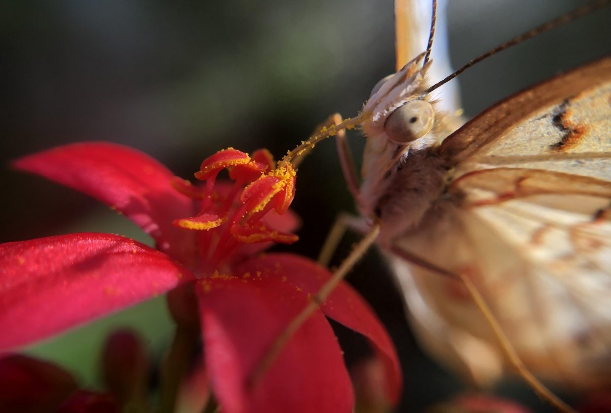 Macro Project - student project