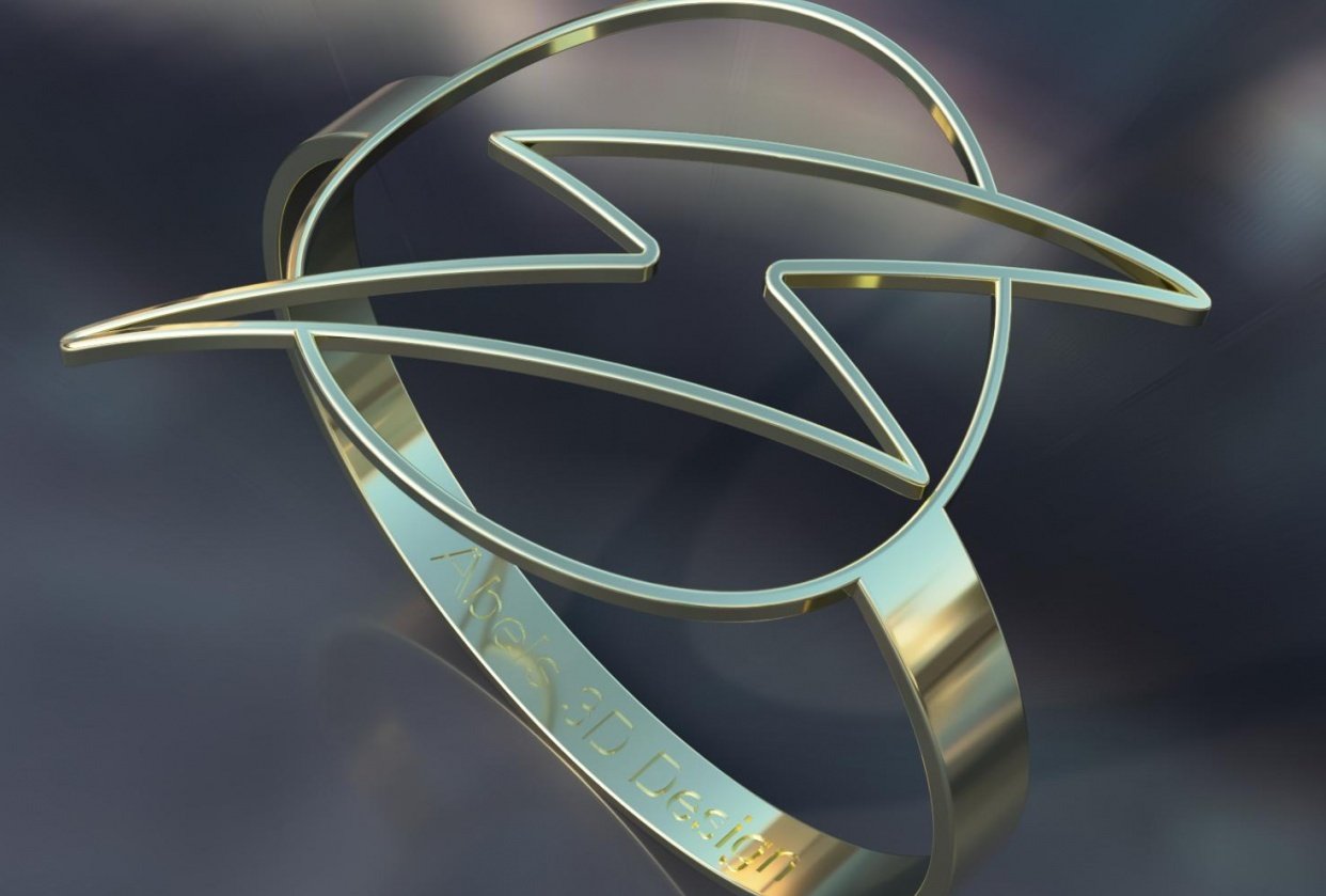 1st ring - student project
