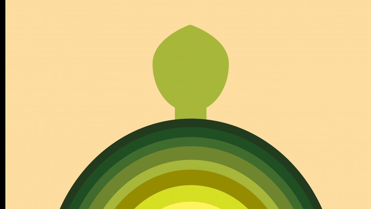 Turtle | Skillshare Student Project