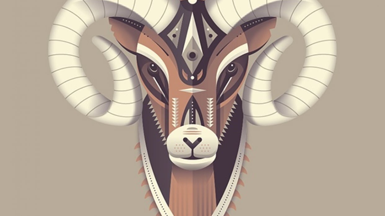 Bighorn Sheep - student project