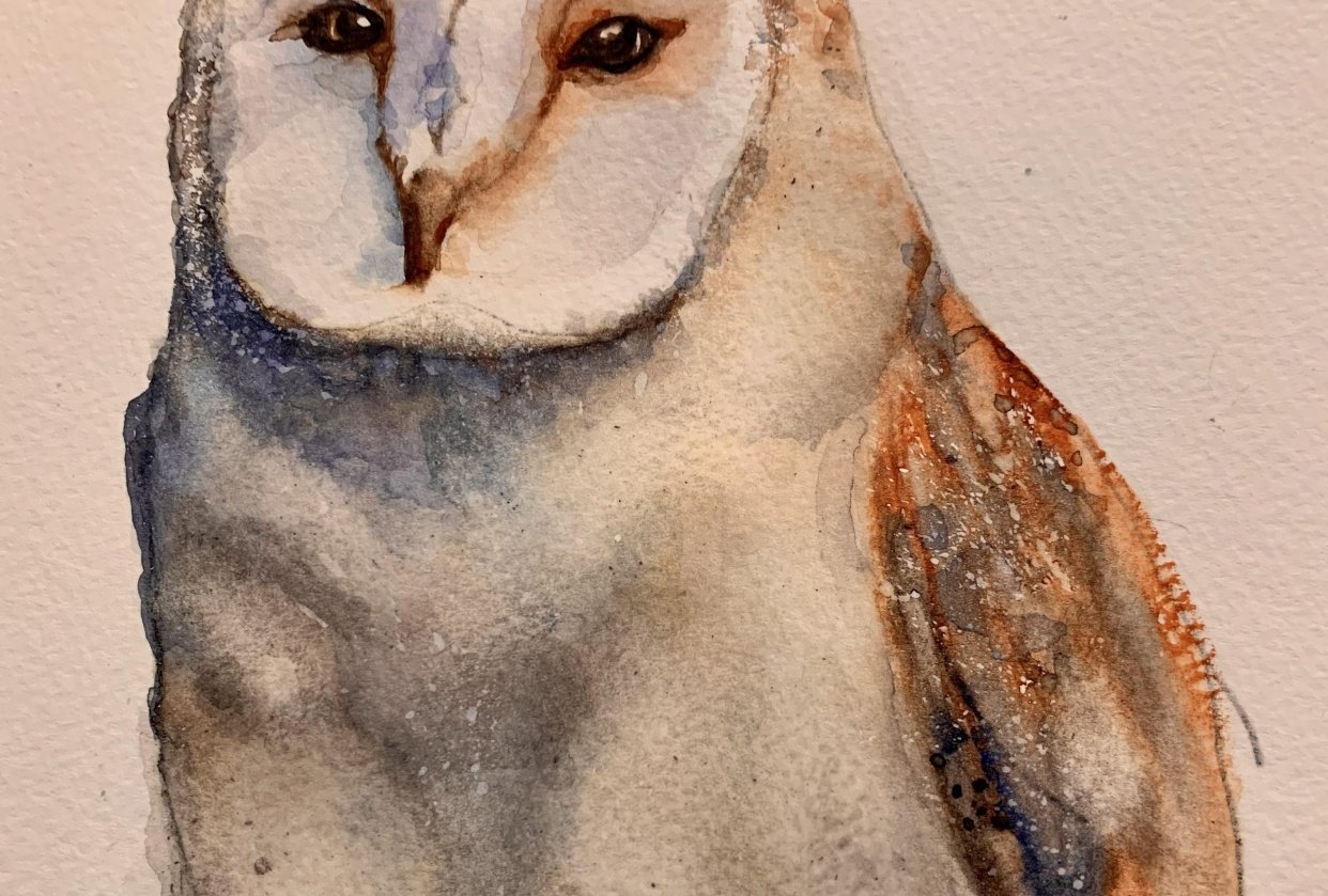 Barn Owl Skillshare Student Project