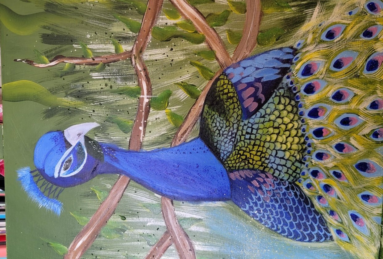 Peacock Skillshare Student Project