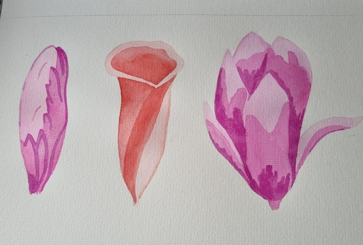 Beyond my Comfort Zone! Skillshare Student Project