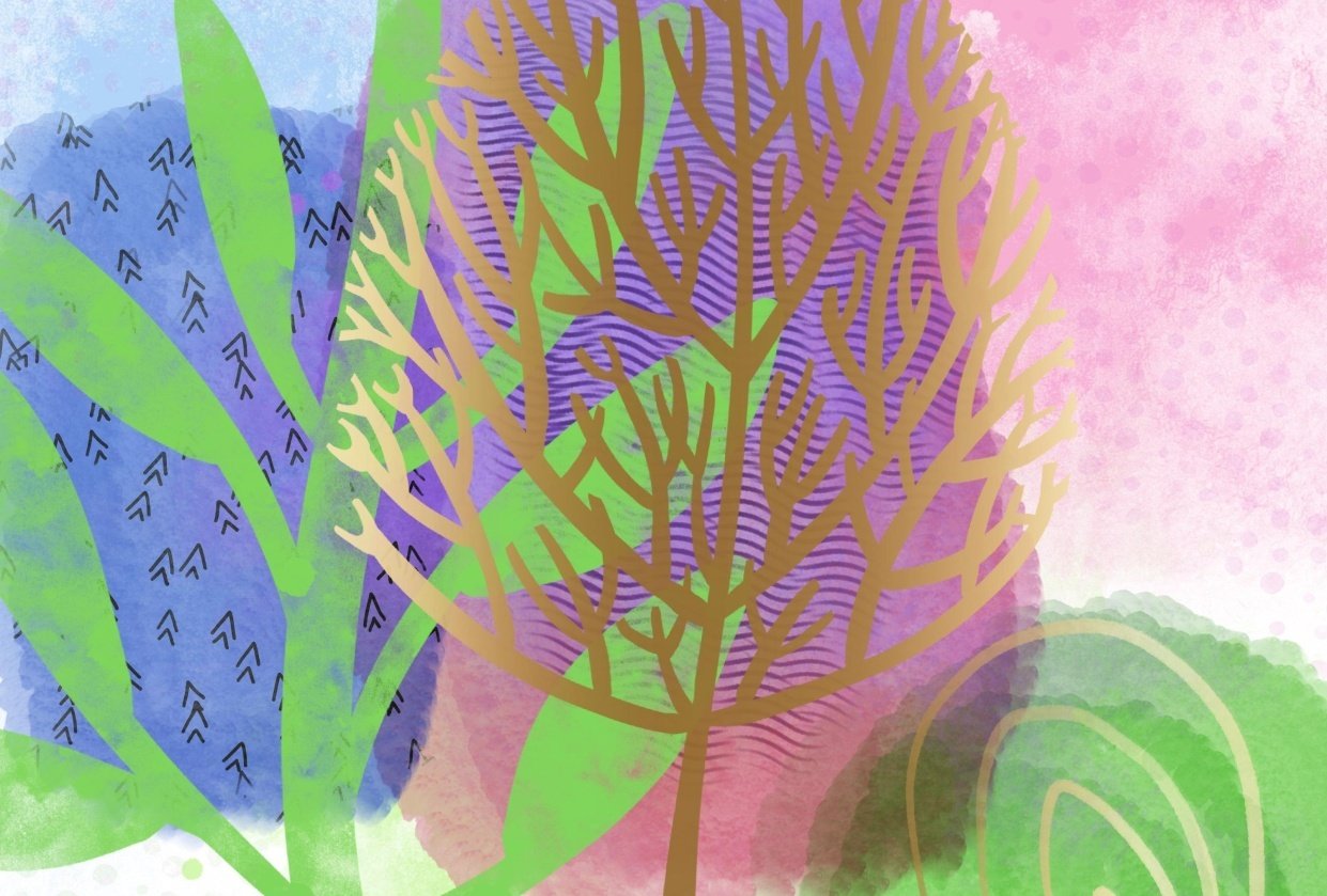 Zingy Spring Zingy Spring | Skillshare Student Project