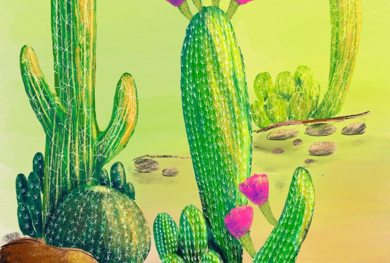 Cactus layering Skillshare Student Project