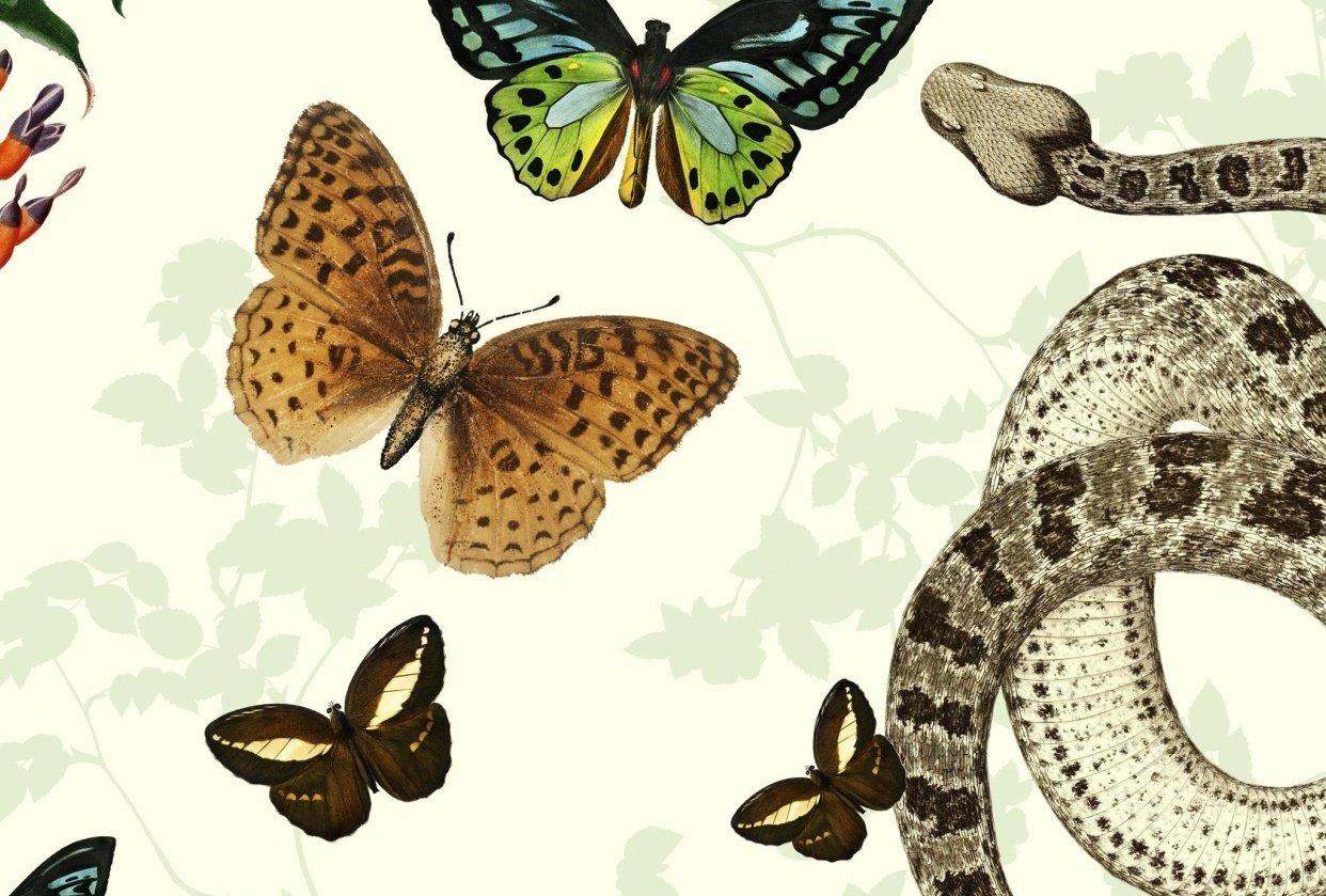 Seamless repeat pattern using Photoshop | Skillshare Student Project
