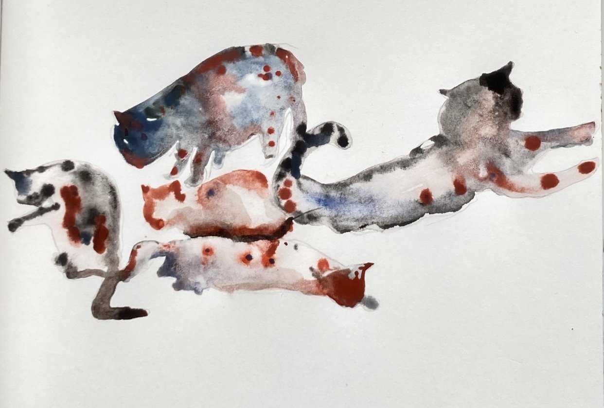 Playful watercolour - student project