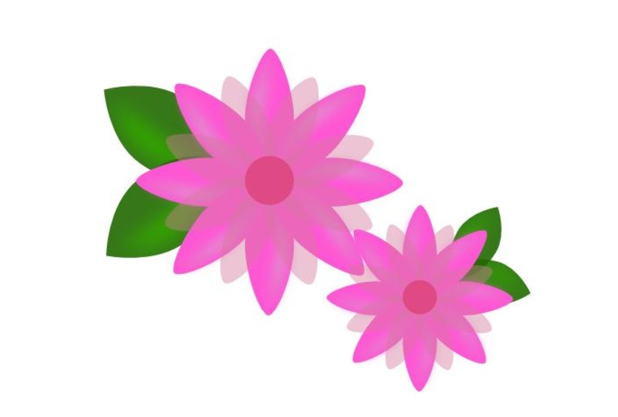 Vector Flowers - student project